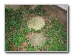 Click to enlarge or to suggest caption