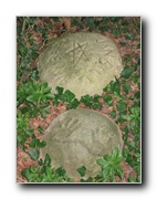 Click to enlarge or to suggest caption