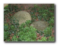 Click to enlarge or to suggest caption