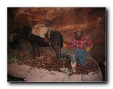 Click to enlarge or to suggest caption