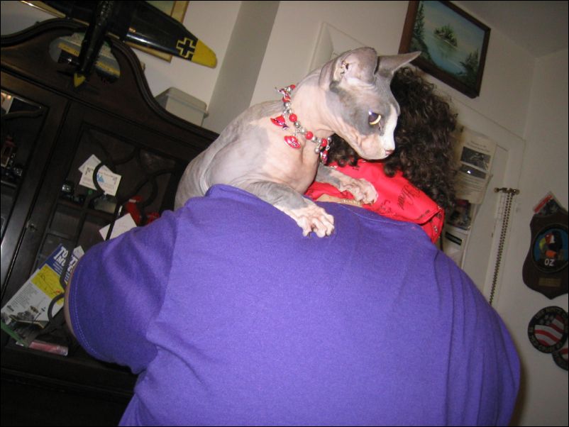 Thought I'd throw in this shot of another Red Hat Lady