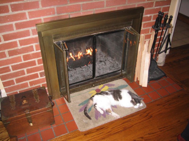 LC's staked out her spot