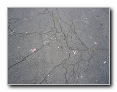 Click to enlarge or to suggest caption