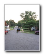 Click to enlarge or to suggest caption