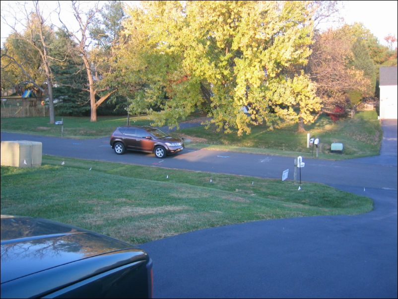 The Betts Bunch, arriving