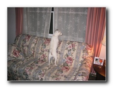 Click to enlarge or to suggest caption