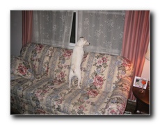 Click to enlarge or to suggest caption