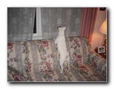 Click to enlarge or to suggest caption