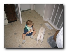 Click to enlarge or to suggest caption