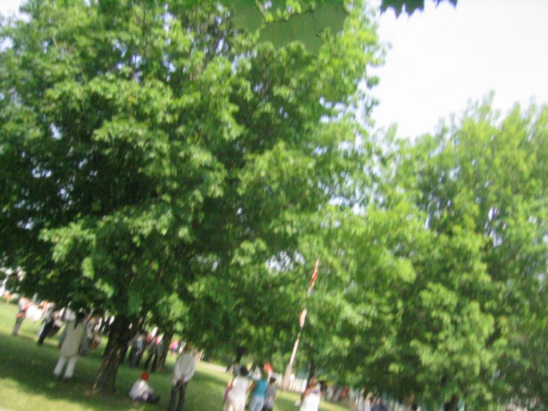 060625_102846