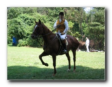 Click to enlarge or to suggest caption