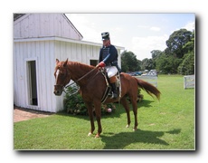 Click to enlarge or to suggest caption