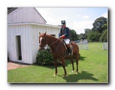 Click to enlarge or to suggest caption