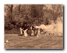 Click to enlarge or to suggest caption