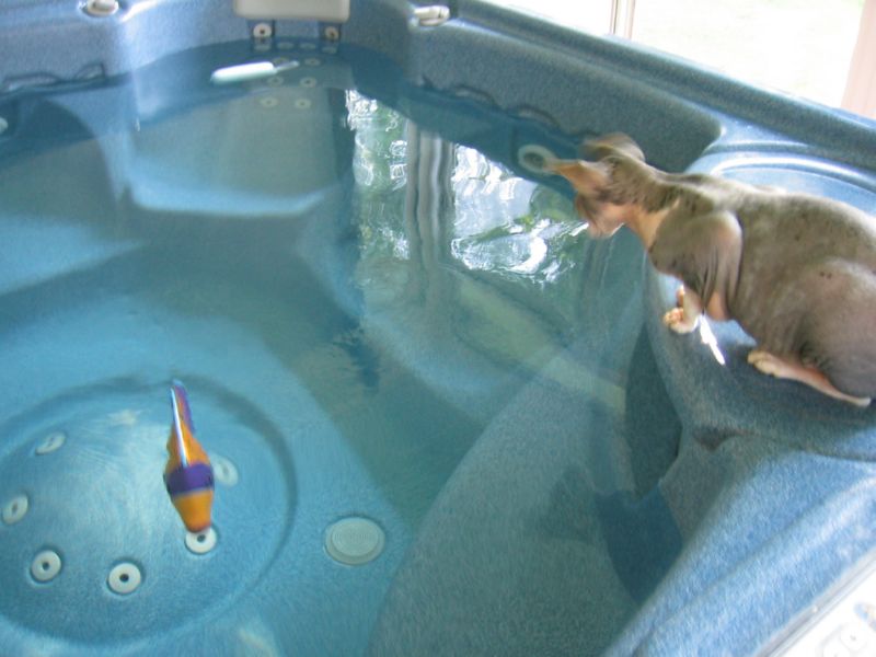 How do I get to it<br>without getting wet?
