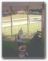 [Click to enlarge image]