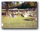 [Click to enlarge image]