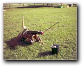 [Click to enlarge image]