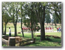 [Click to enlarge image]