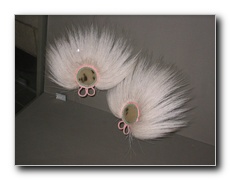 Click to enlarge or to suggest caption