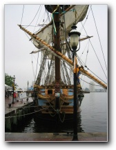 [Click to enlarge image]