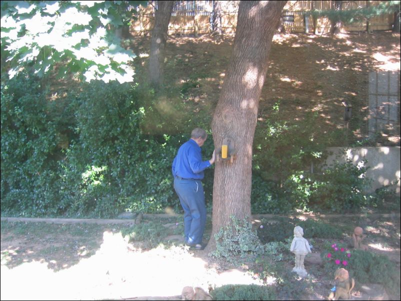 Corn for the Squirrels