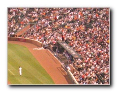 Click to enlarge or to suggest caption