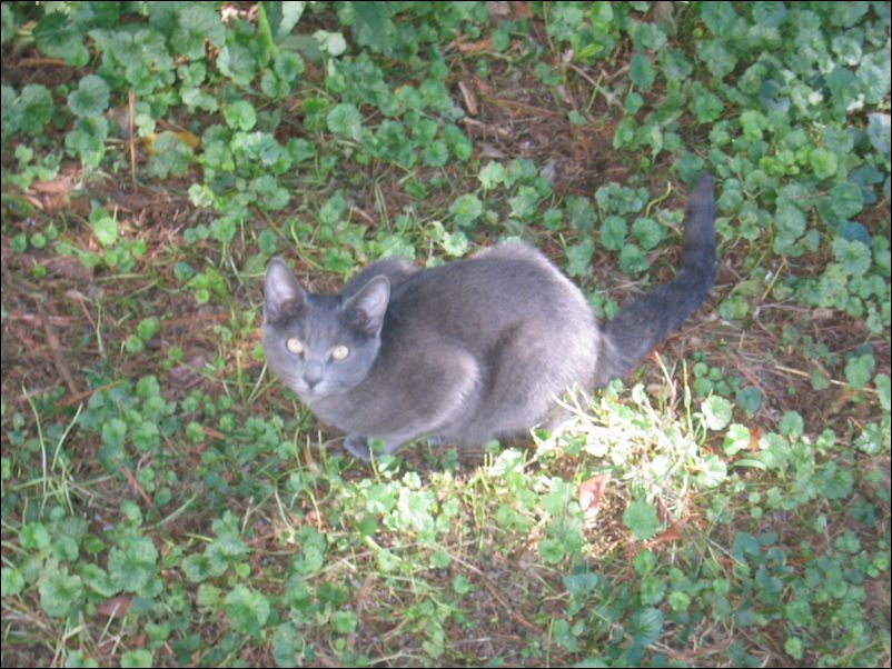 Morgan was smart, slept with Don K. instead of on nast old straw!