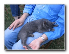 Click to enlarge or to suggest caption