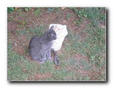 Click to enlarge or to suggest caption