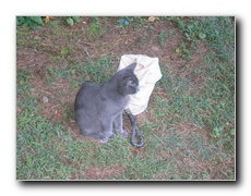 Click to enlarge or to suggest caption