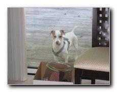 Click to enlarge or to suggest caption