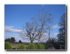 Click to enlarge or to suggest caption