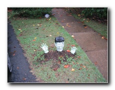 Click to enlarge or to suggest caption