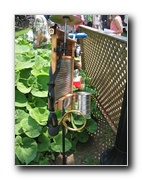 Click to enlarge or to suggest caption