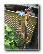 Click to enlarge or to suggest caption