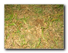 Click to enlarge or to suggest caption