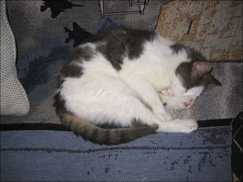 L.C., doing what L.C. does best