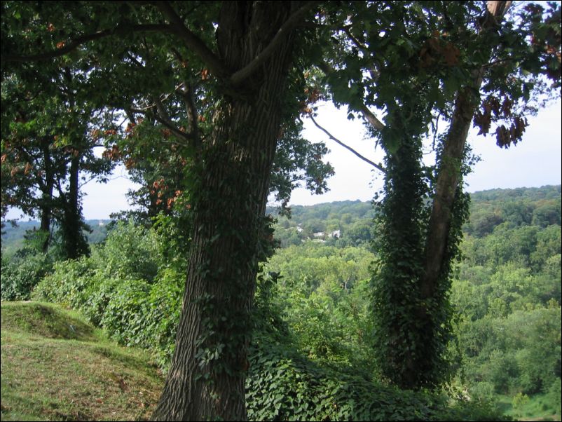 GW Parkway Scenic Overlook