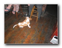 [Click to enlarge image]