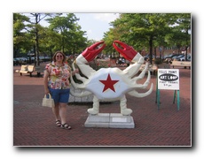 Click to enlarge or to suggest caption