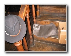 Click to enlarge or to suggest caption