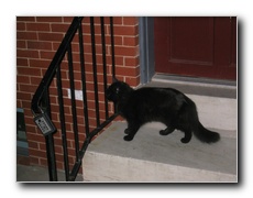 Click to enlarge or to suggest caption