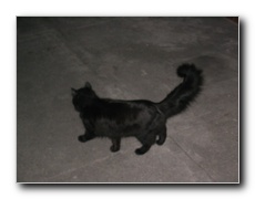 Click to enlarge or to suggest caption