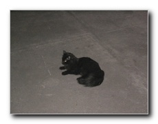 Click to enlarge or to suggest caption