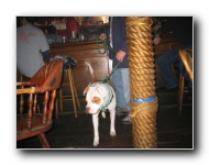 [Click to enlarge image]