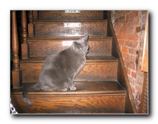 Click to enlarge or to suggest caption