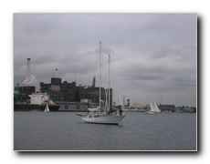 Click to enlarge or to suggest caption