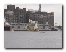 Click to enlarge or to suggest caption