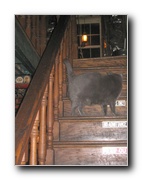 Click to enlarge or to suggest caption